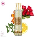 عنبر عطر بدون كحول  100 مل - ناتشورال كولكشن من حامدي