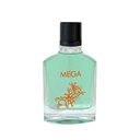 MEGA Perfume  100 ML - CLASSIC COLLECTION By Maison Amara