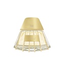 Shell Oro Perfume  100 ML -  By Rich & Ruitz