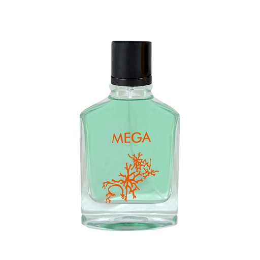 [HAV31112003] MEGA Perfume  100 ML - CLASSIC COLLECTION By Maison Amara